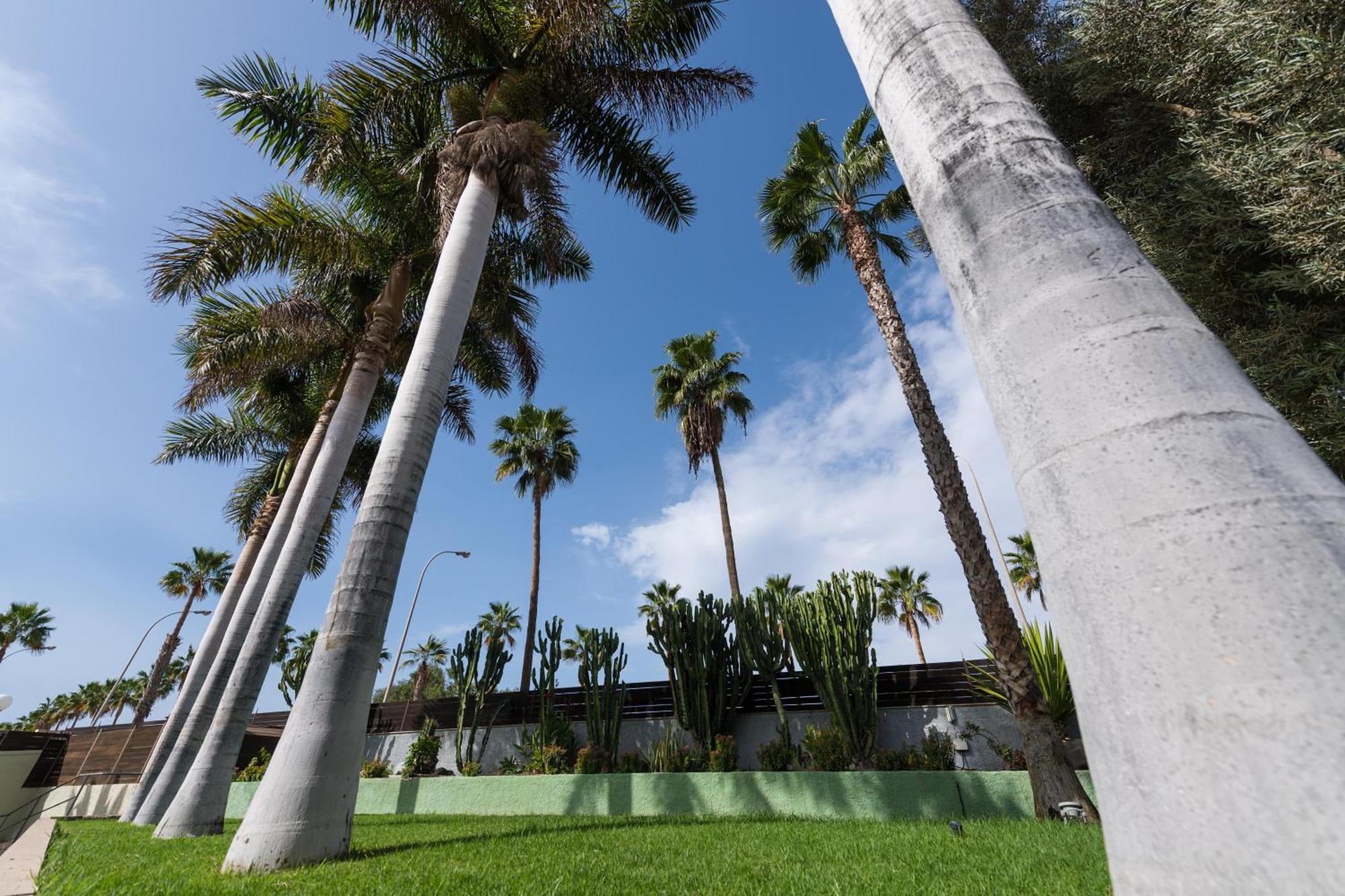 Eo Maspalomas Resort Kültér fotó